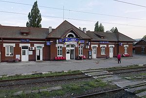 Stația de cale ferată Videle
